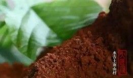 有点料官网,解锁生活新趣味