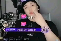 网红黑料视频,视频背后的真相与反思